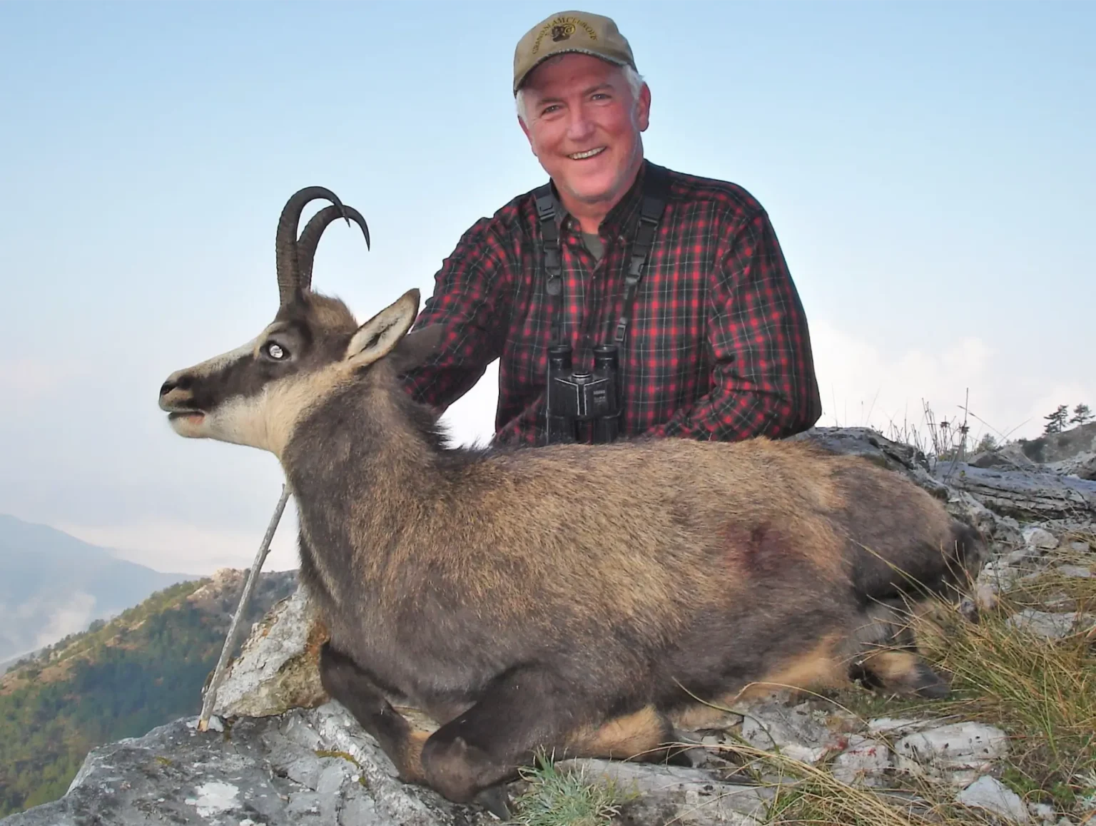 Balkan Chamois